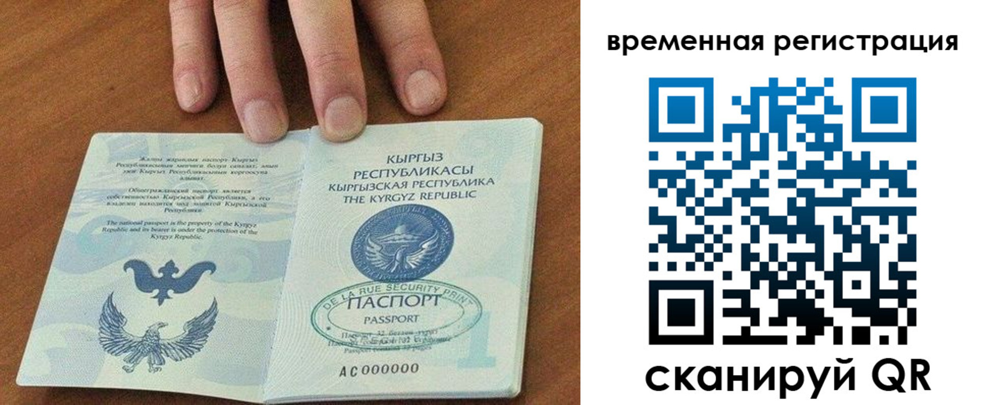 прописка регистрация в Заринске
